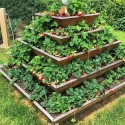 Garden Projects