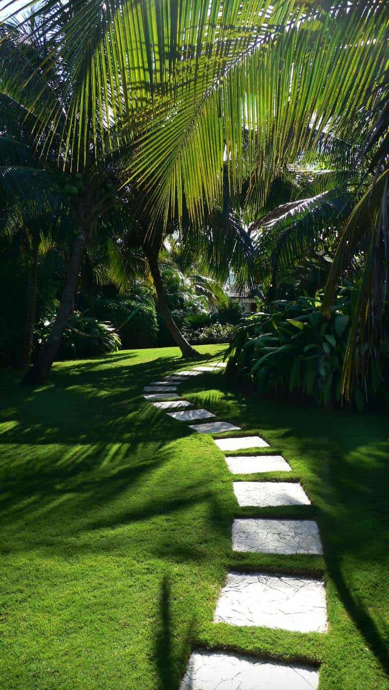 Garden The Beauty of Nature in Your Backyard