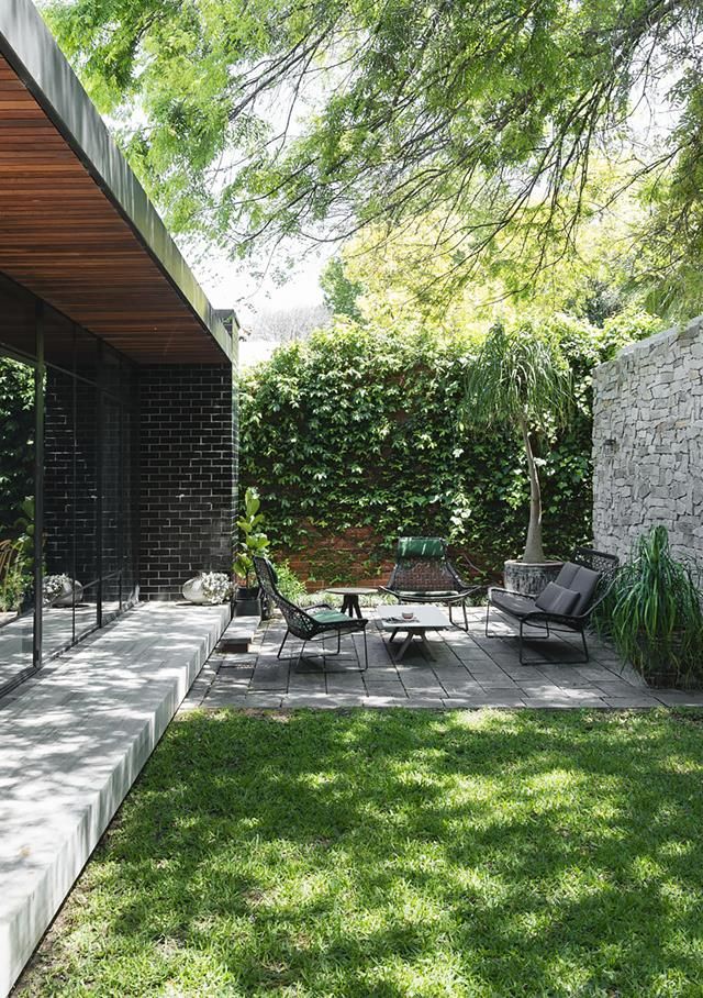 Garden “Unlock the Beauty of Your Outdoor Space with These Garden Transformation Tips”