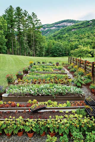 Gardening Beautiful Blooms: Tips for Creating a Lush Outdoor Oasis