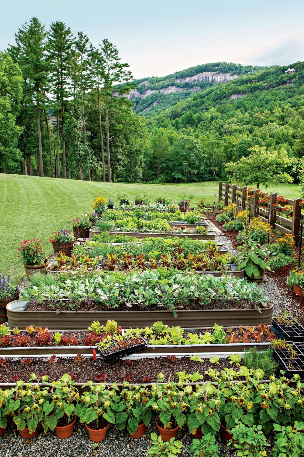 Gardening “Digging in the Dirt: The Joys and Benefits of Gardening”