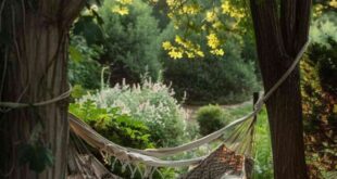 Hammock Ideas Backyard