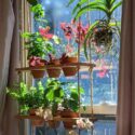Hanging Plants Indoor