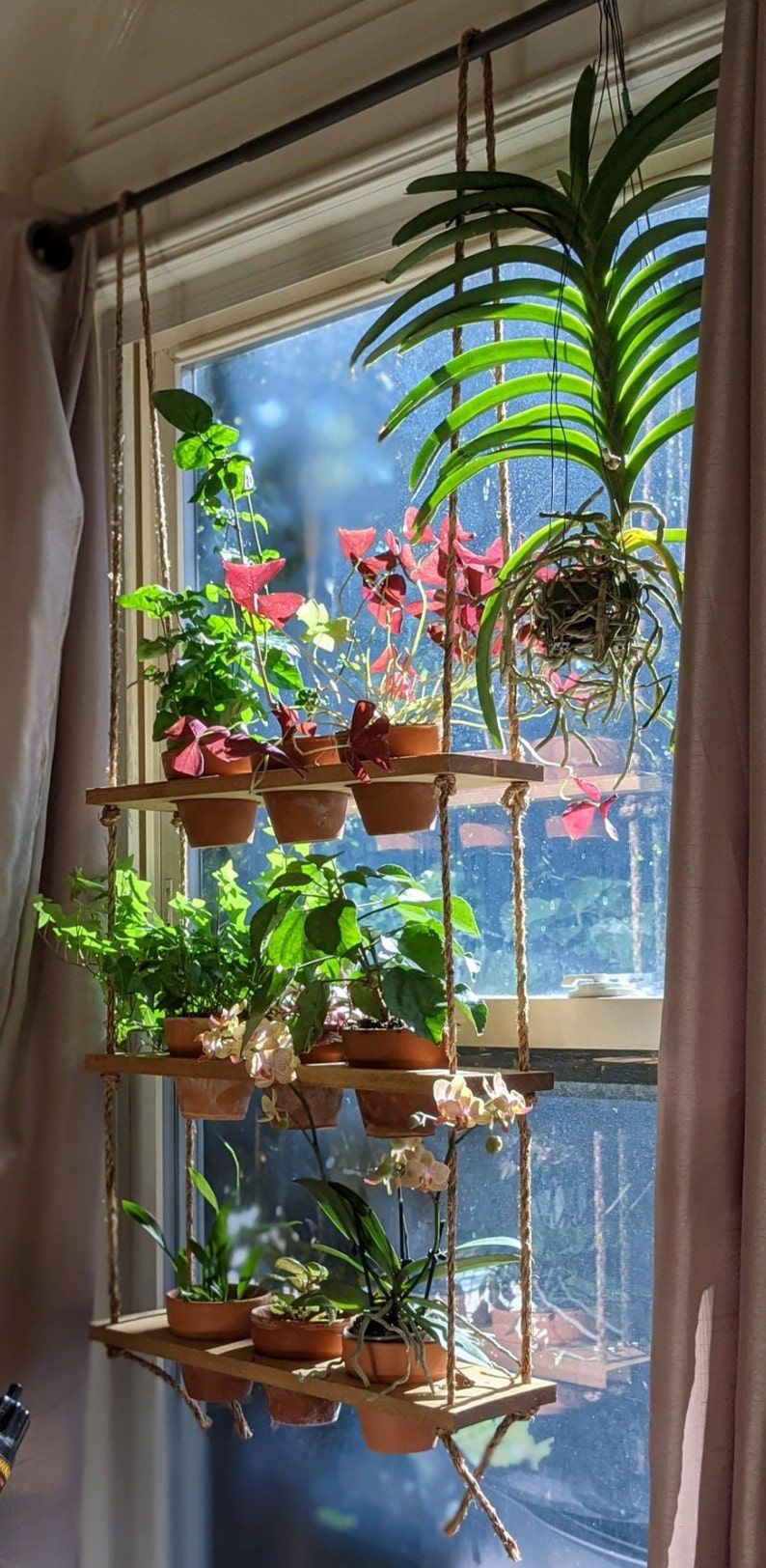 Hanging Plants Indoor The Perfect Way to Add Greenery to Your Home