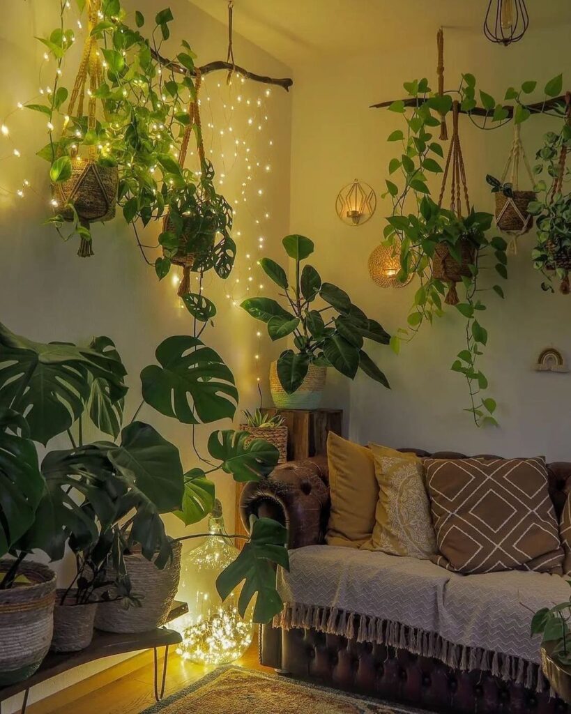 Hanging Plants Indoor