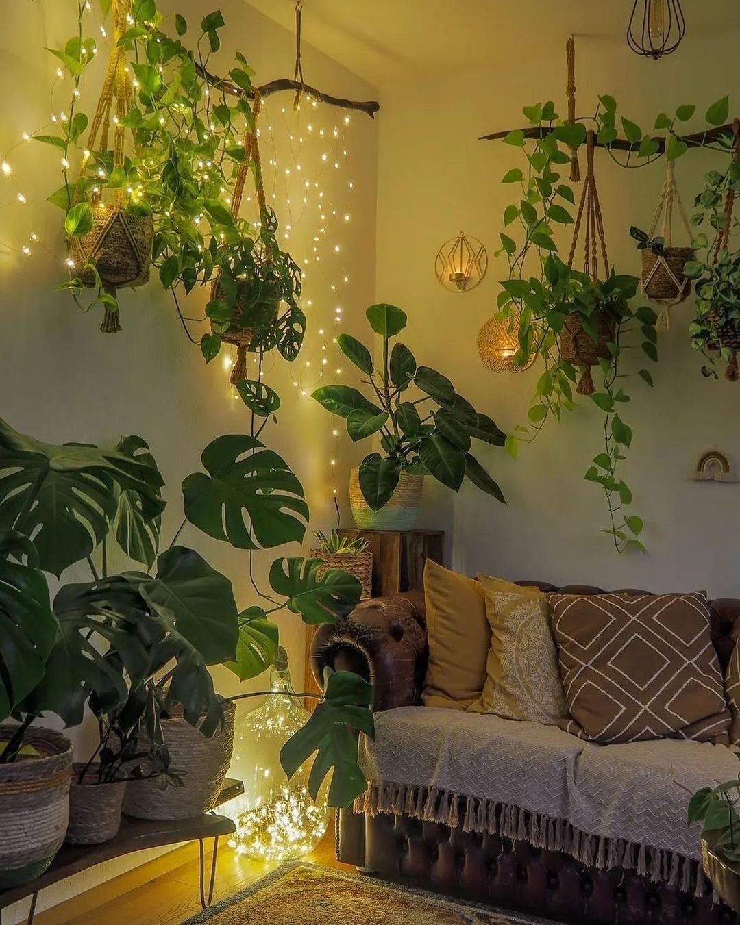 Hanging Plants Indoor Transforming your Home with Stunning Hanging Plant Displays