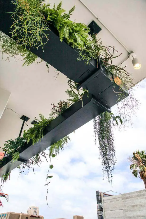 Hanging Plants Outdoor Transform Your Outdoor Space with Breathtaking Hanging Plant Displays