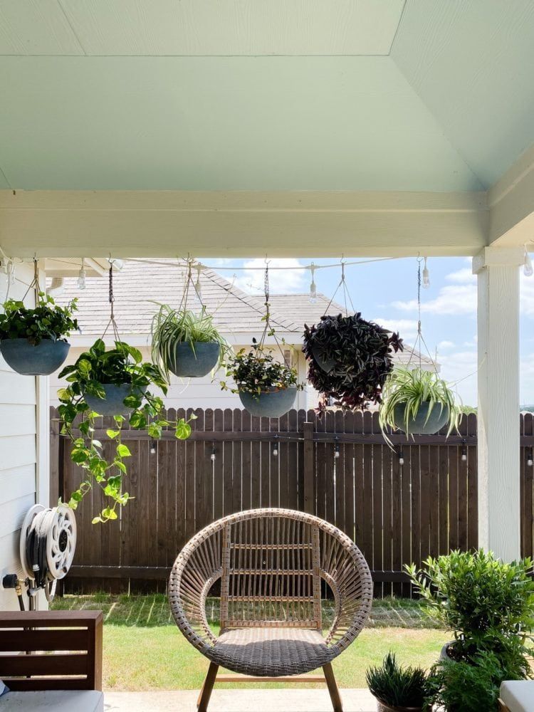 Hanging Plants Outdoor