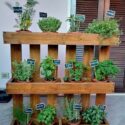 Herb Garden Ideas