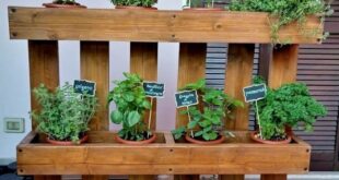 Herb Garden Ideas