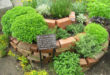 Herb Garden Ideas