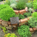 Herb Garden Ideas