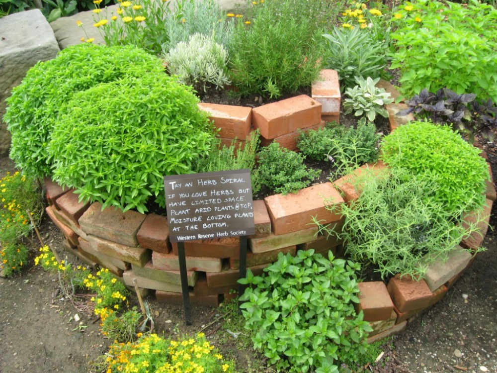 Herb Garden Ideas Creative Ways to Grow Herbs at Home