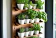 Herb Garden Ideas