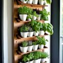 Herb Garden Ideas