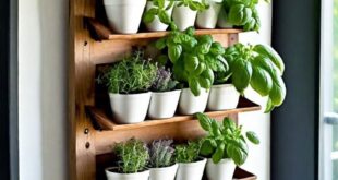 Herb Garden Ideas