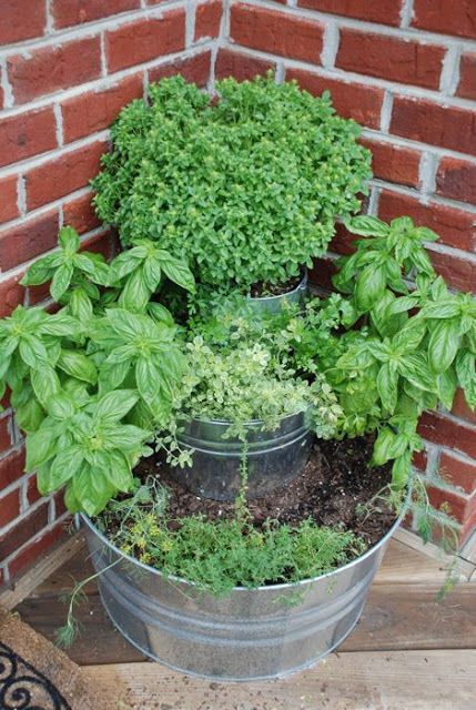 Herb Garden Ideas Top Tips for Creating a Beautiful and Functional Herb Garden