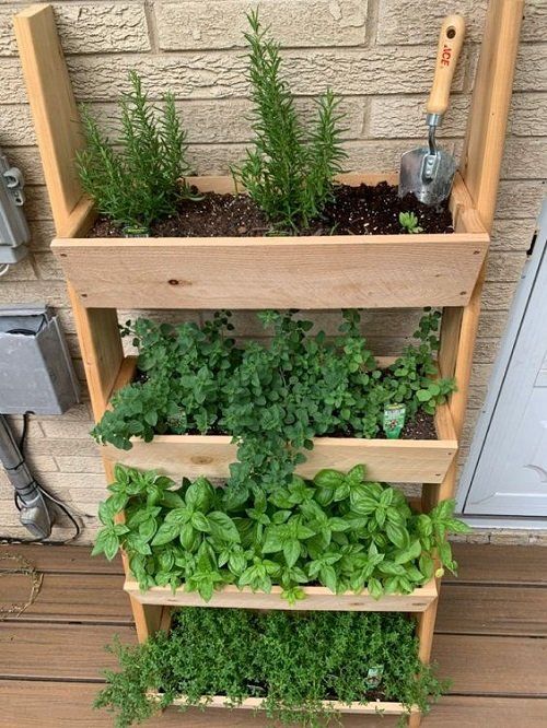 Herb Garden Ideas for Every Gardener