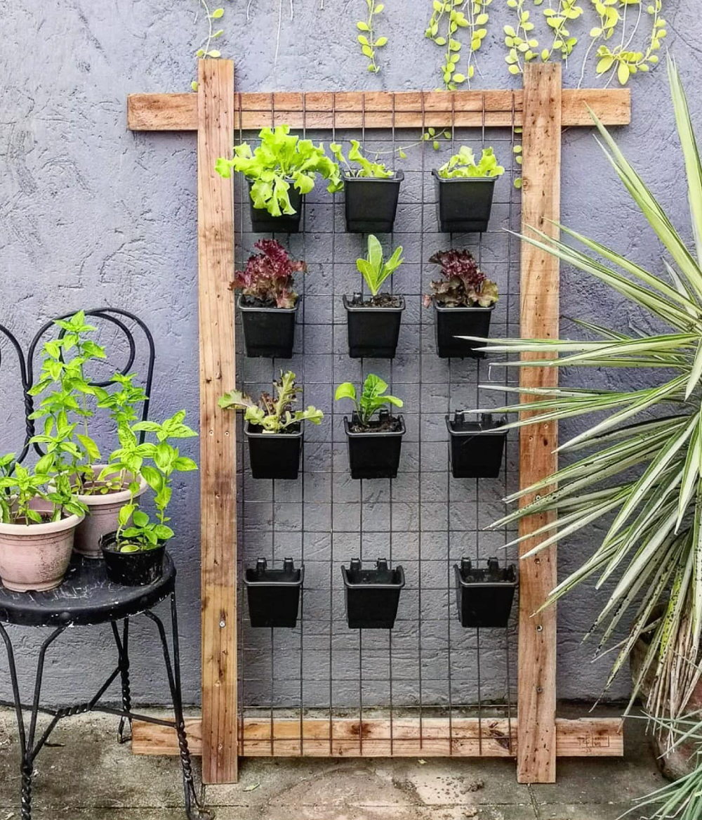 Herb Garden Ideas for Every Outdoor Space