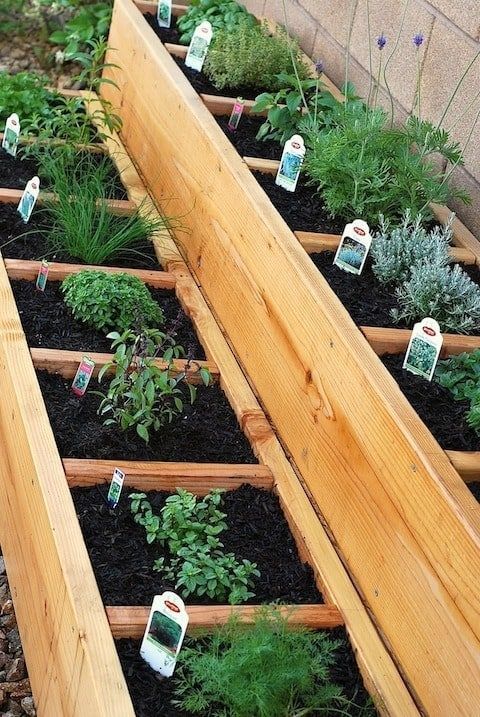 Herb Garden