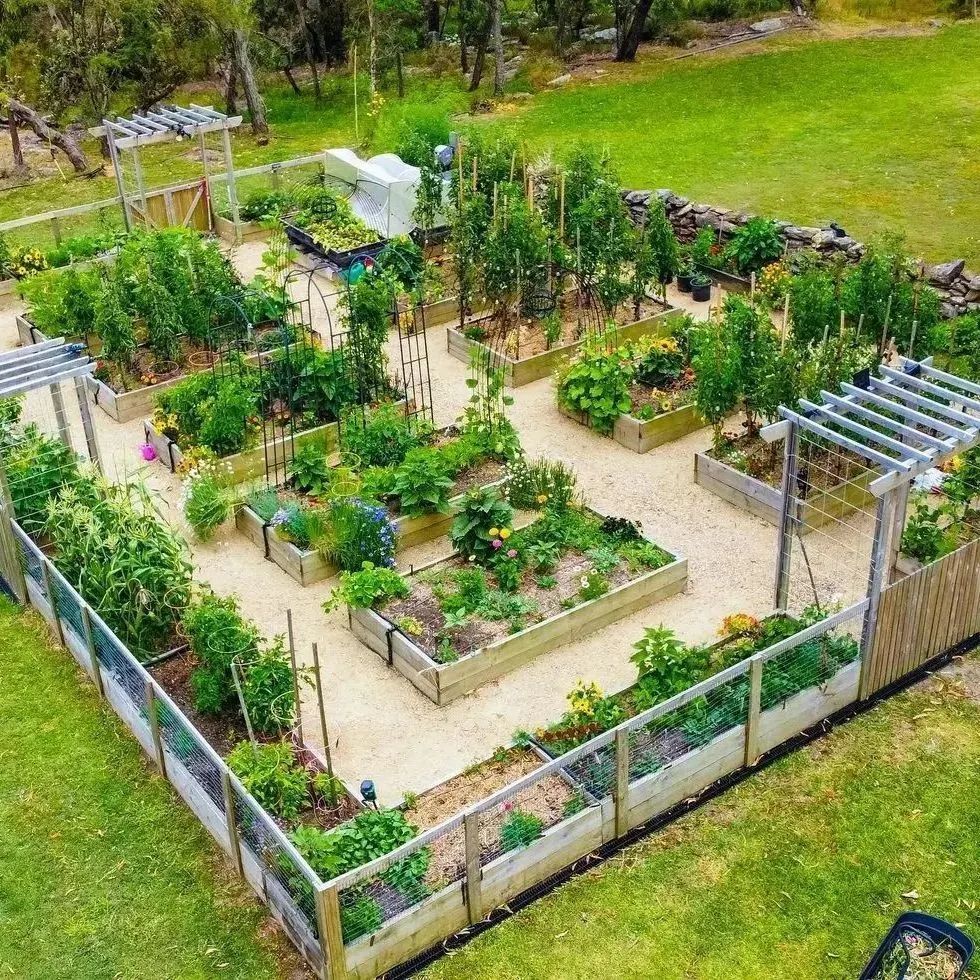 Homesteading Garden Layout