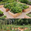 Homesteading Garden Layout