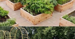 Homesteading Garden Layout