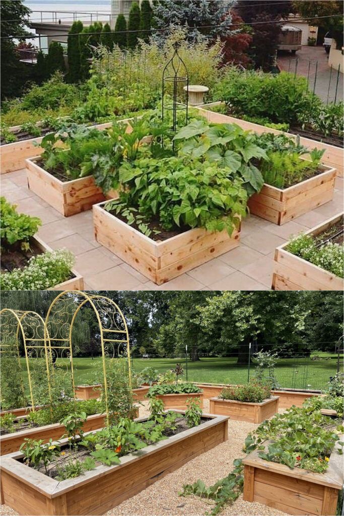 Homesteading Garden Layout Optimizing Your Garden Space for Self-Sufficiency and Sustainability