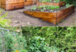 Homesteading Garden Layout