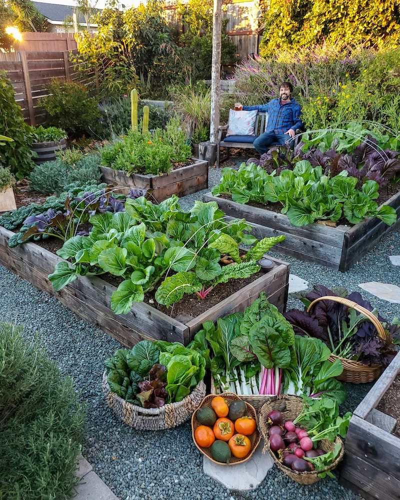 Homesteading Garden Layout – Tips for planning your homestead garden