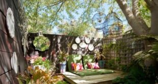 Large Backyard Ideas Layout