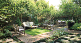 Large Backyard Ideas Layout