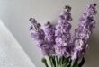 Lilac Flowers