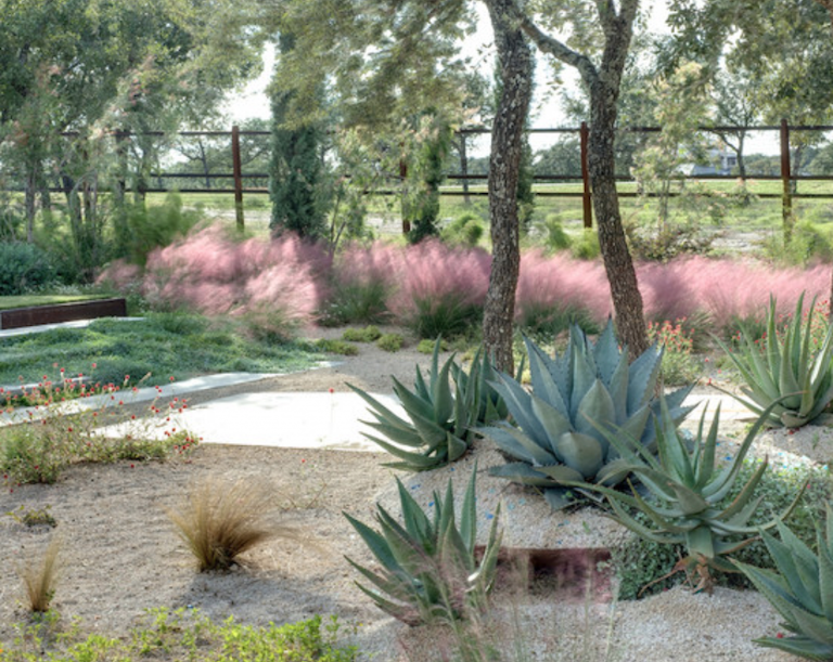 No Grass Backyard Creating a Low-Maintenance Garden Retreat with a Lush Green Alternative