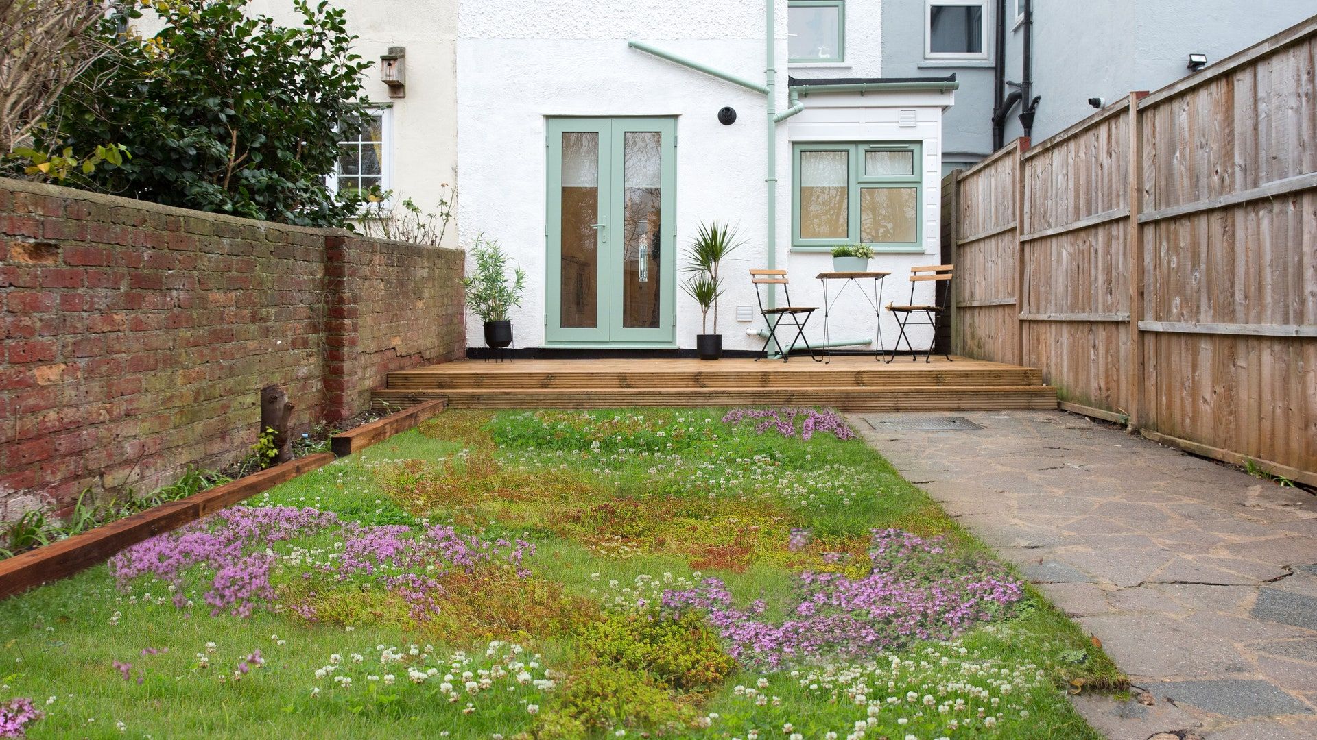 No Grass Backyard Creating a Lush, Low-Maintenance Yard without Grass