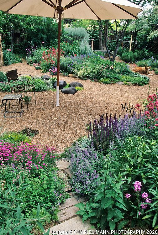 No Grass Backyard Ideas for a Low-Maintenance Outdoor Space