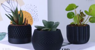 Outdoor Planter Ideas