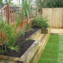 Outdoor Planter Ideas