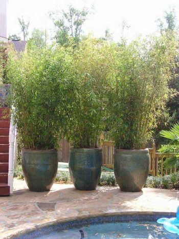 Outdoor Planter Ideas Creative Ways to Upgrade Your Outdoor Space with Planters