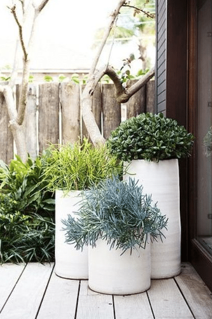 Outdoor Planter Ideas Creative and Beautiful Ways to Decorate Your Outdoor Space with Planters