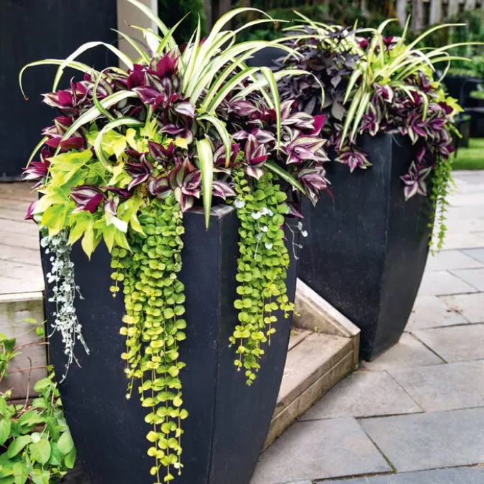 Outdoor Planters Enhance Your Outdoor Space with Beautiful Planting Containers