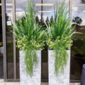 Outdoor Planters