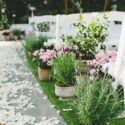 Outdoor Potted Plants