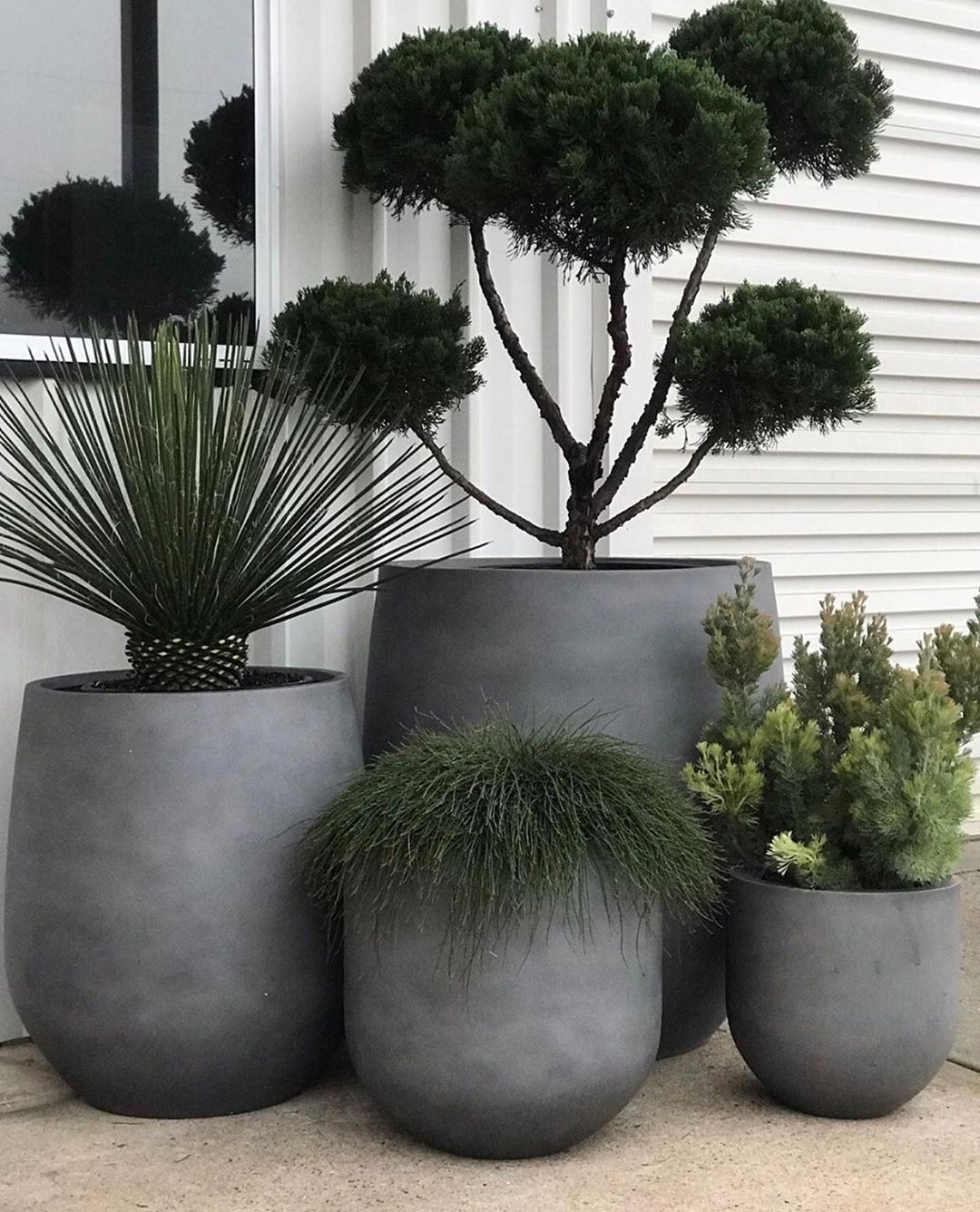 Outdoor Potted Plants Enhance Your Outdoor Space