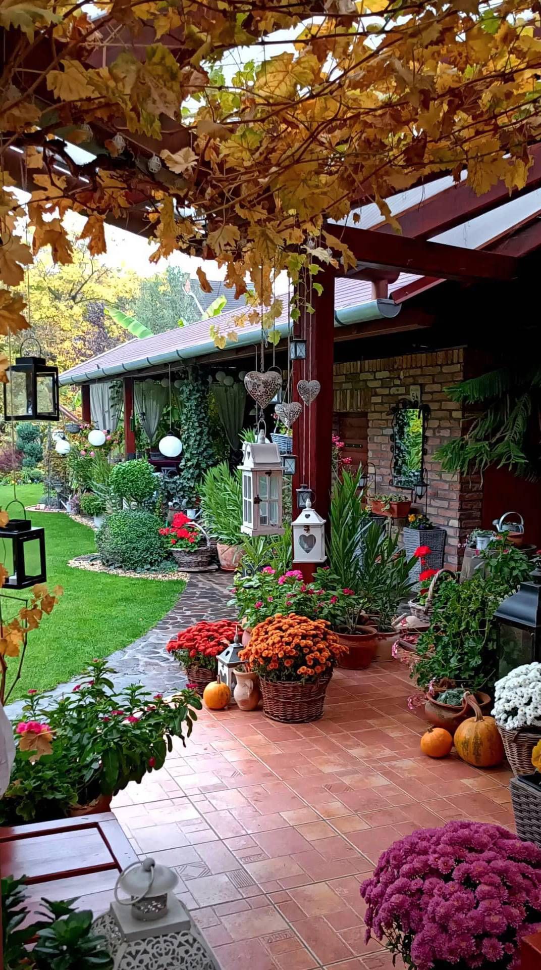 Patio Flowers Adding Beauty to Outdoor Spaces