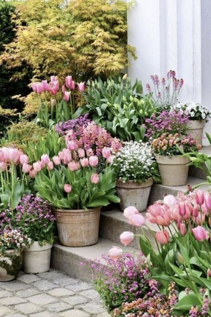 Patio Flowers: Sprucing Up Your Outdoor Space