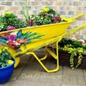 Patio Planter Ideas