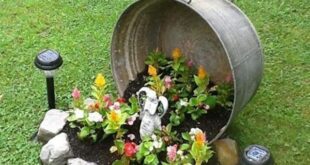 Patio Planter Ideas