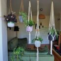 Plant Stands Outdoor