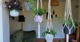 Plant Stands Outdoor